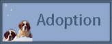 Adoption